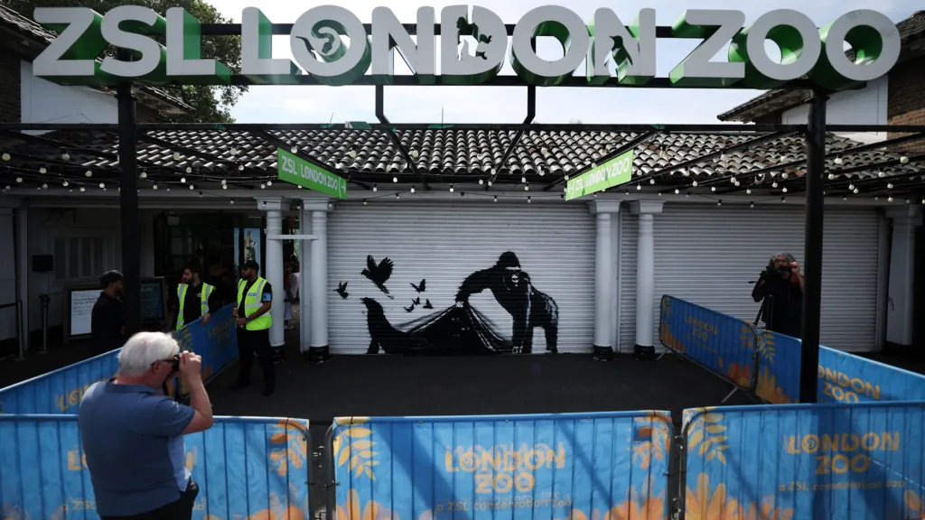 London Zoo removes Banksy work for ‘safekeeping’